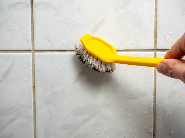 Best Post-Flood Mold Remediation in Kirby, TX